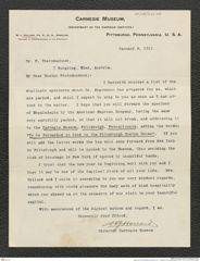 Nachlass Franz Steindachner, Brief von W. J. Holland an Franz Steindachner (04.01.1911), Inv.Nr. 235.04, Seite 1